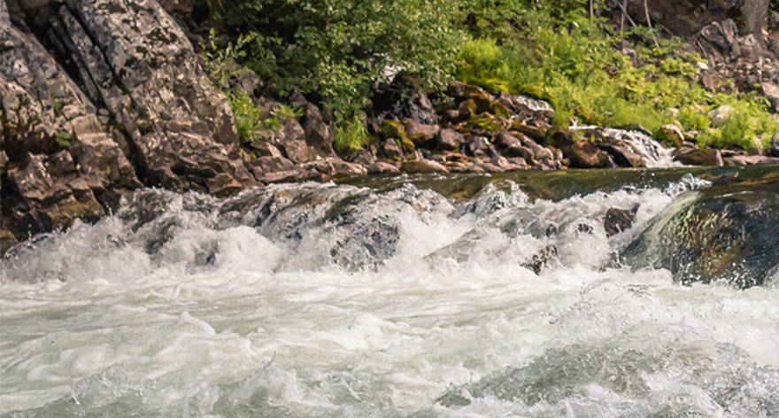 image salmon river